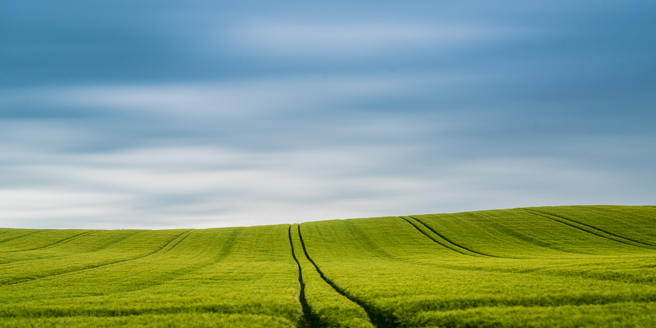 Gerstefeld vor Gewitterhimmel