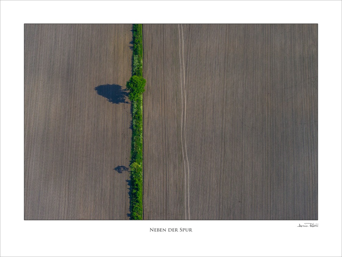 Neben der Spur