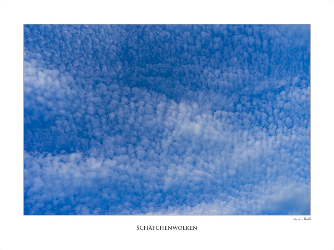 Cirrocumulus
