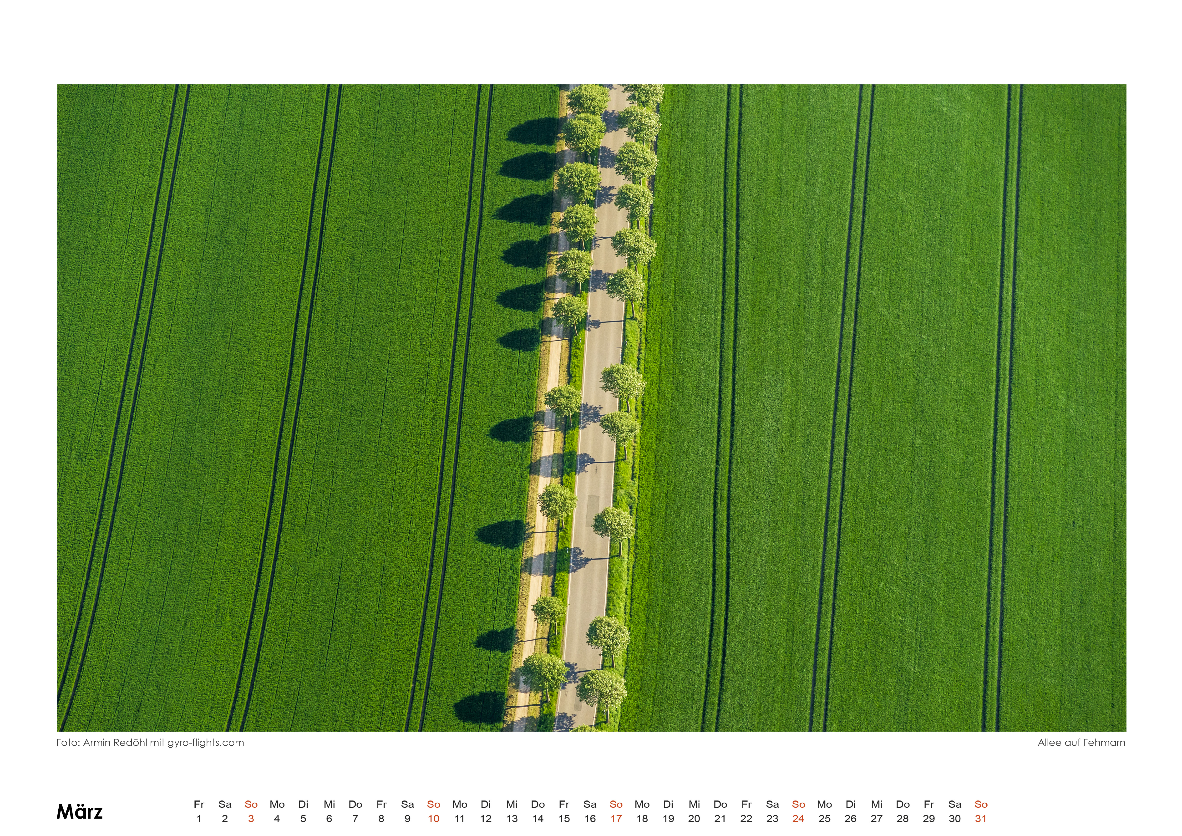 Maerz2019
