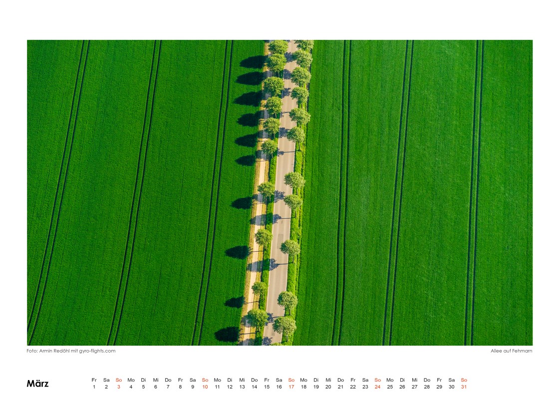Maerz2019