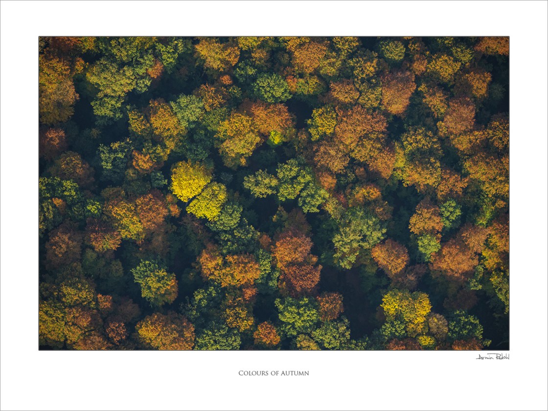 Colours of Autumn