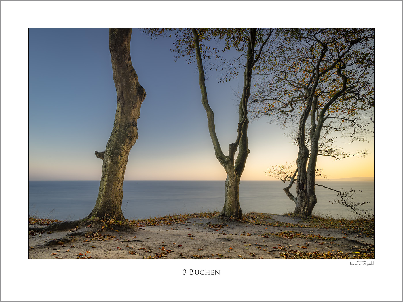 Drei Buchen