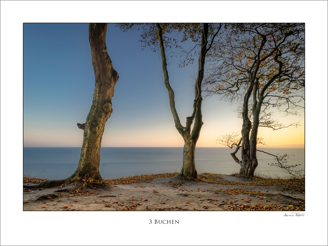 Drei Buchen